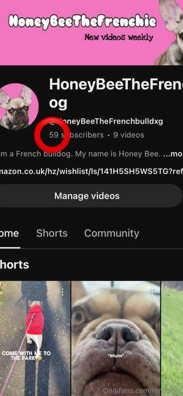 Only 1 subscriber away from 60 and 41 away from 100 !! Make ..