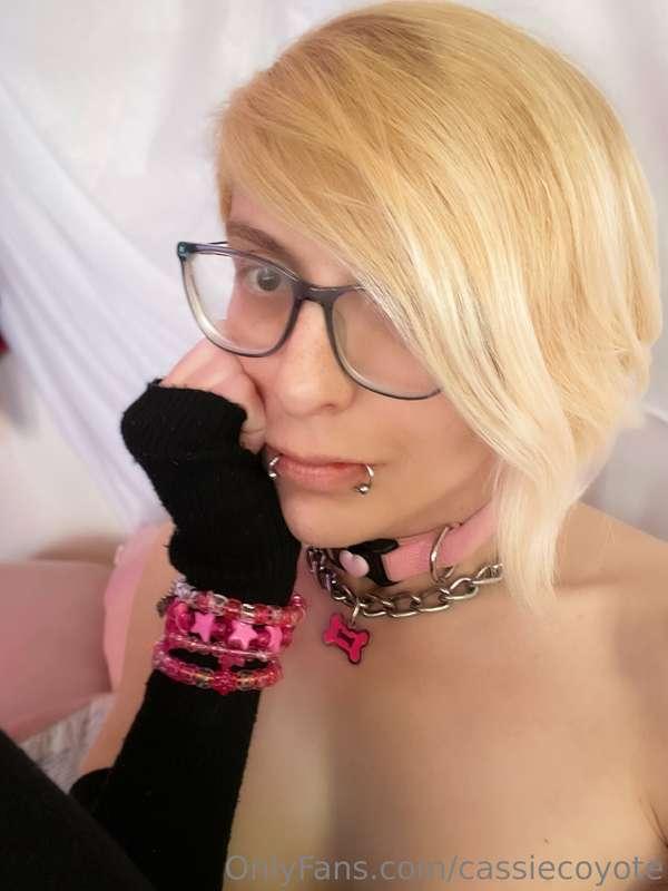 cassiecoyote image #6