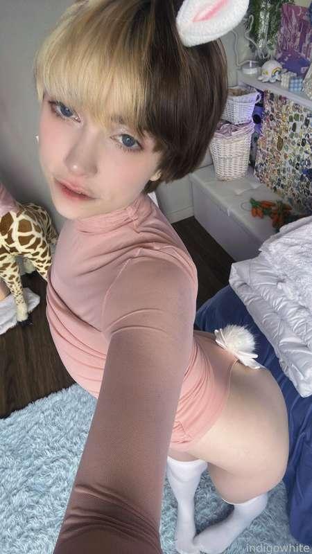 indigowhite image #61