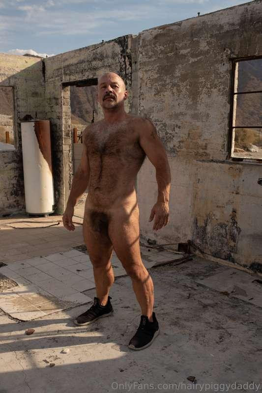 hairypiggydaddy image #1