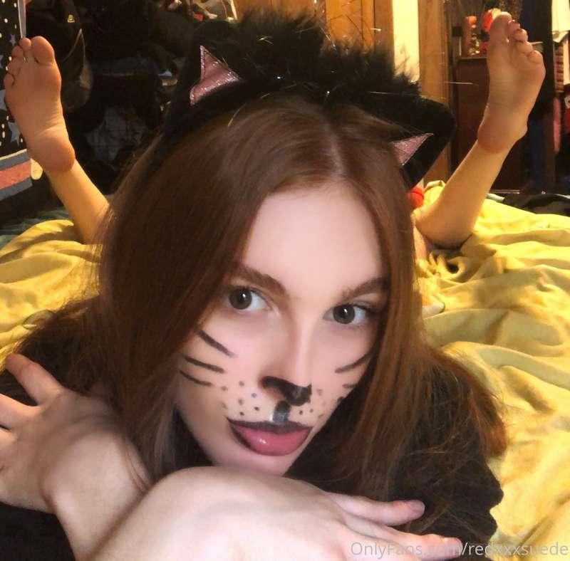 *purrrr* i ❤️ it when u tickle my soles 🐱🐱🐱
