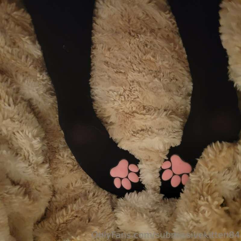 submissivekitten84 image #1
