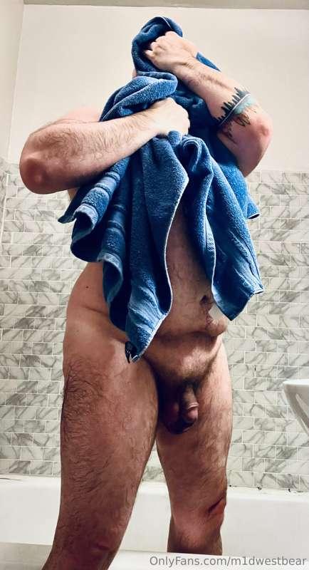 m1dwestbear image #4