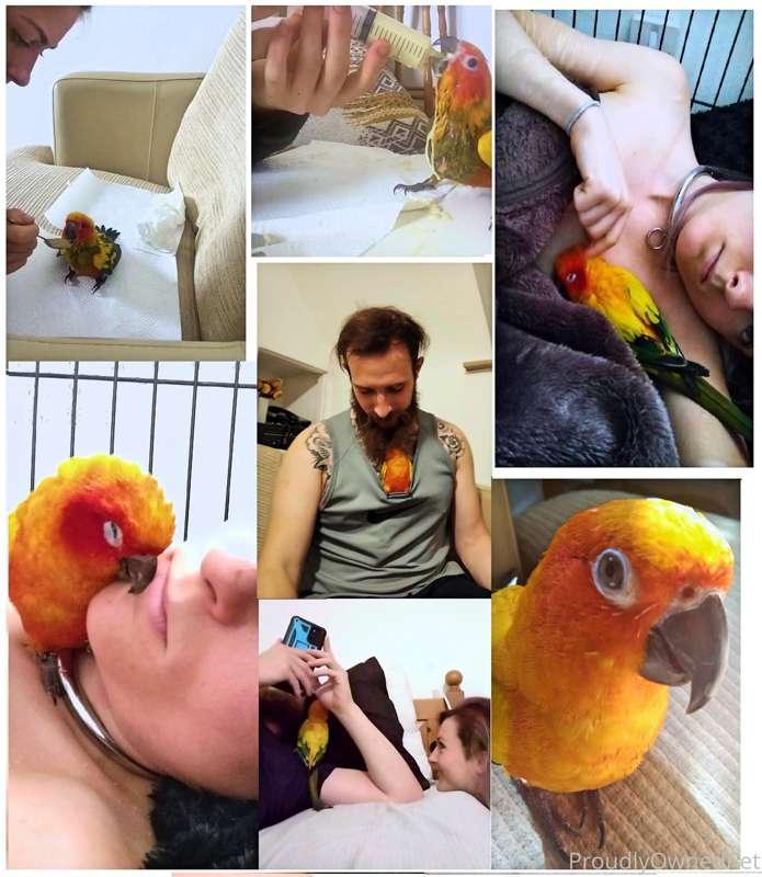 A post about Japhy


It found a way of showing more truth an..