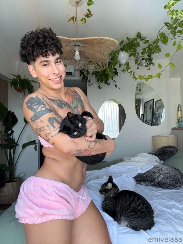 GM from me & my cats ^_^ 