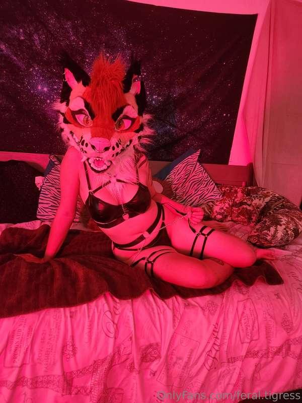 feral.tigress image #0