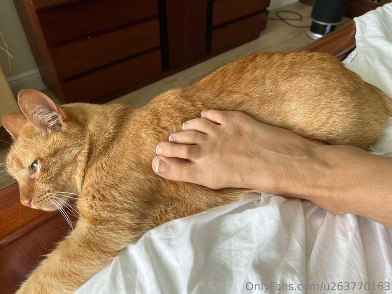 Is it weird that I pet my cat with my BIG feet? 🤭❤️👀