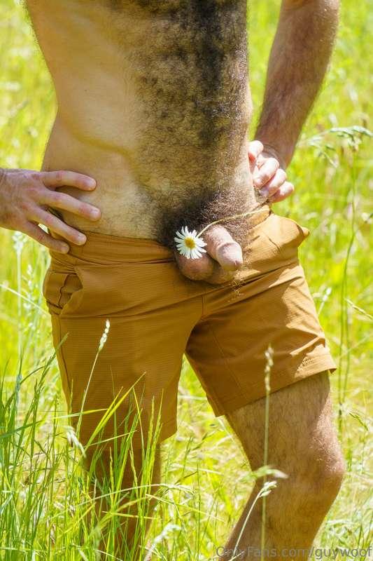 peace, love, bush n dick