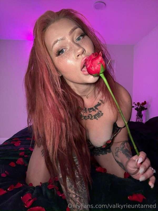 Roses are red, violets are blue, my pussy is hungry, can I h..