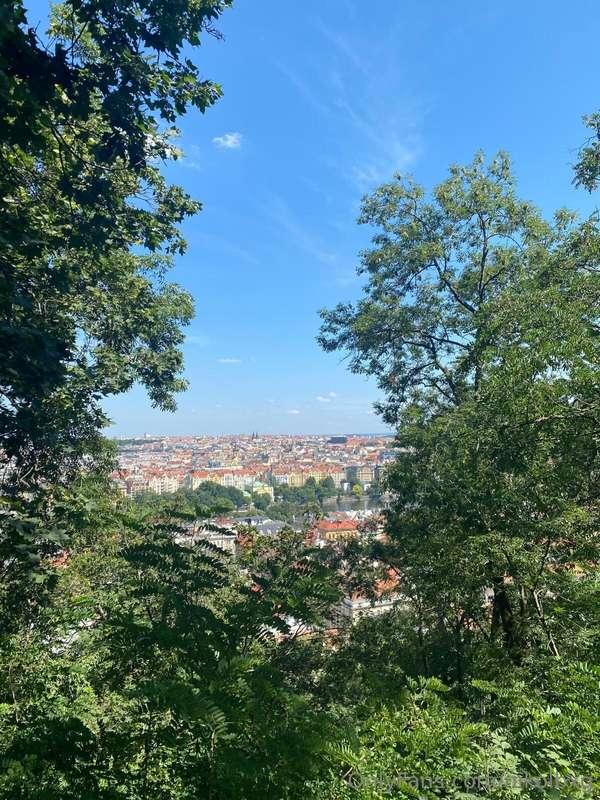 My view💖