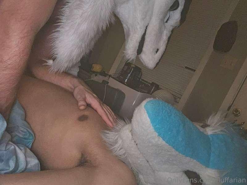 Sergal Fun Times~
