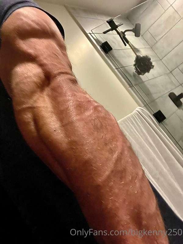 Triceps ✔️
Forearms ✔️