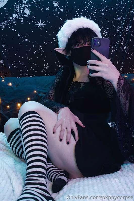 pxppycorpse image #8