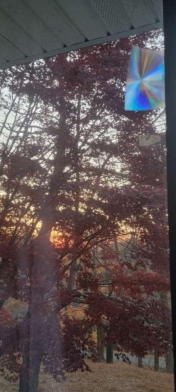 Watching the sunset