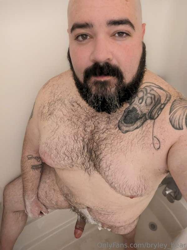 bryley_bear image #0