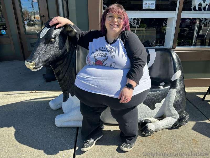Cow on a cow…thought you all would appreciate 😂  😉 🐄 🐮