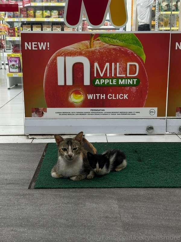 Just me fangirling over animals again 🐾💖