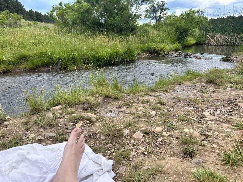 Picnic fun