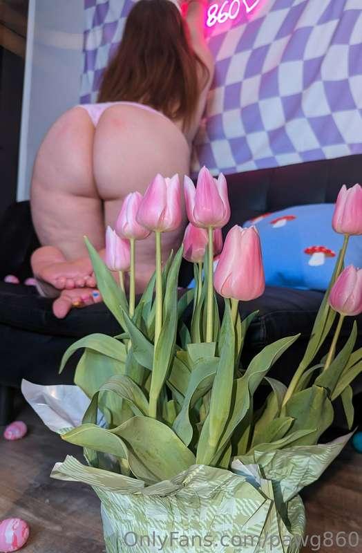 pawg860 image #2