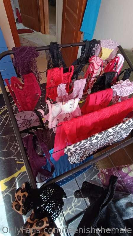 Tangalarımı ve seksi iç çamaşırlarımı yıkadım, rengârenkmiş!..