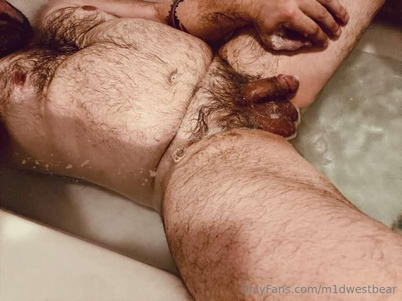 m1dwestbear image #17
