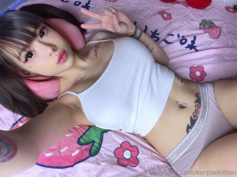 korpsekitten image #0