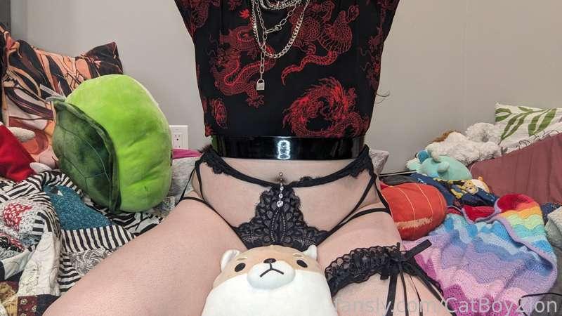catboyzion image #5