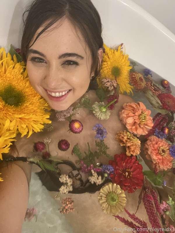 rileyreidx3 image #1