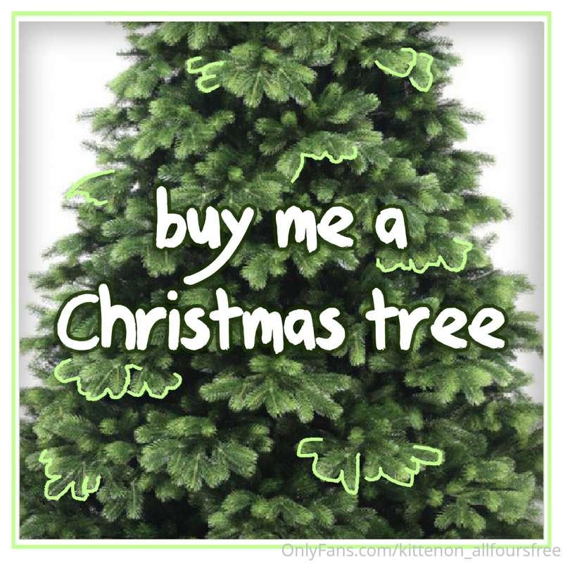 Buy me a Christmas tree and get all the photos and videos on..