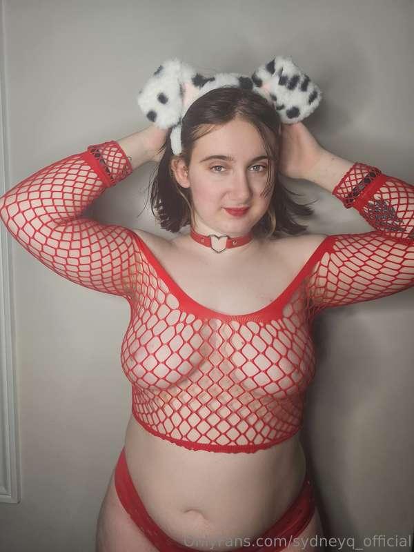 sydneyq_official image #1
