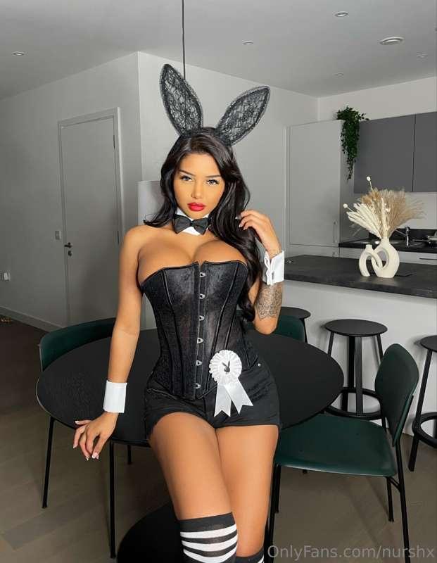 Naughty bunny