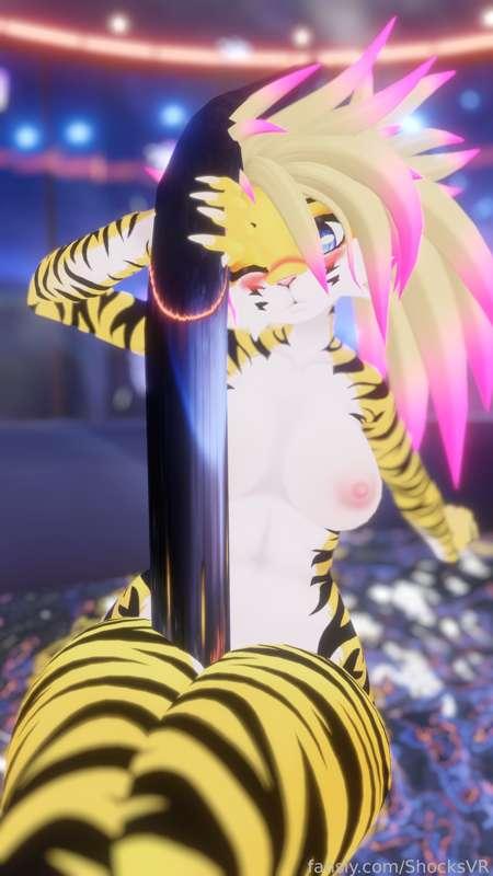shocksvr image #10