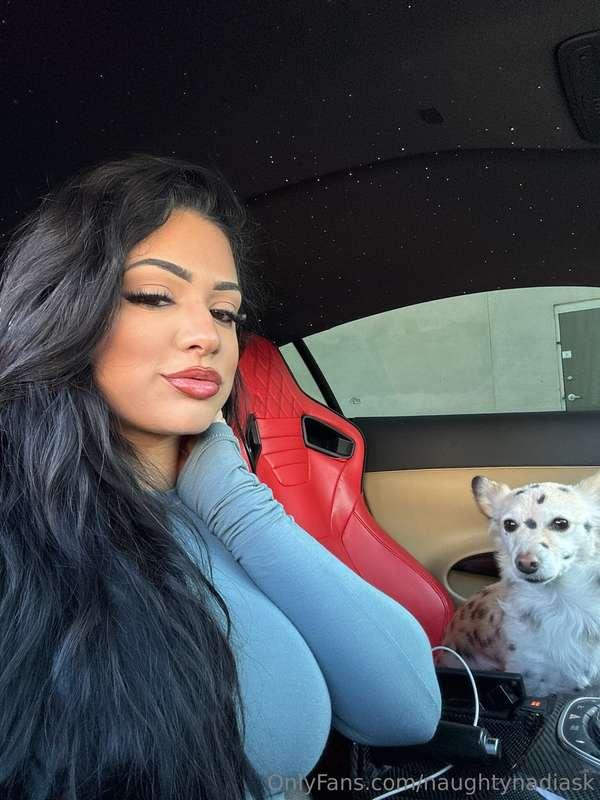 Nismo says hi 😇