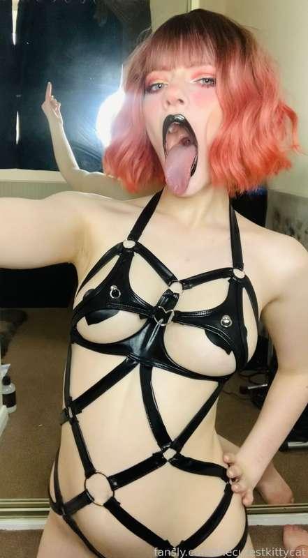 thecutestkittycat image #2