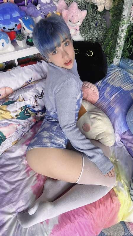 indigowhite image #65