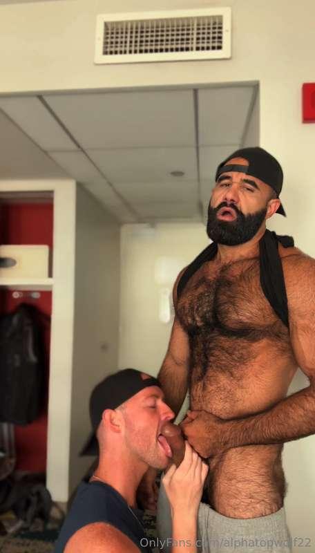 alphatopwolf22 image #3