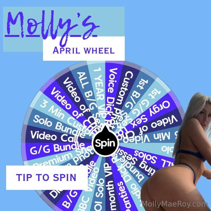 🌺 Molly's April Wheel 🌺 My April Wheel is full of DEALS! Sex..