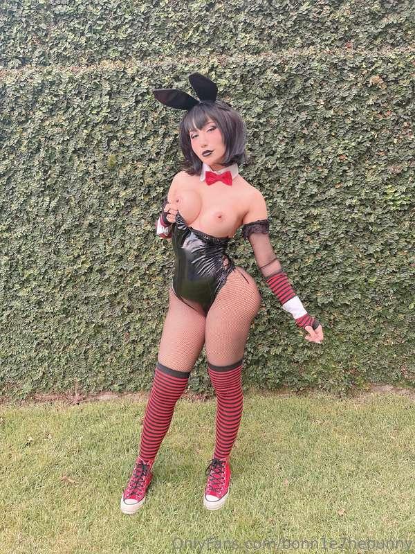 bonn1e7hebunny image #5