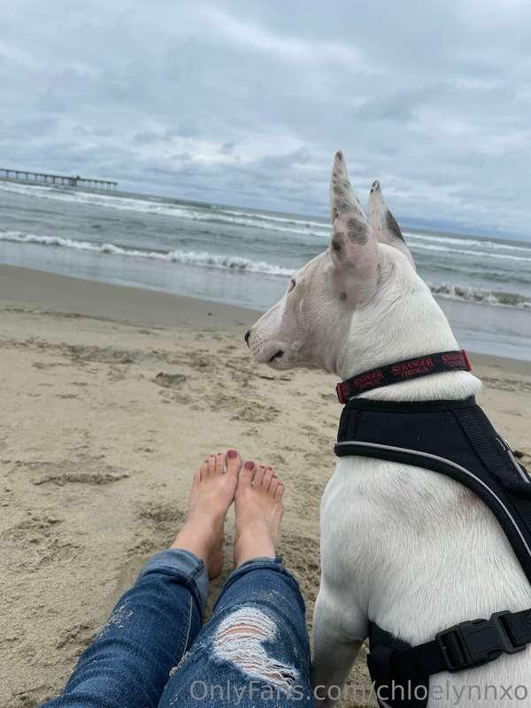 Sorry I haven’t been active everyone but I was on vacation…...