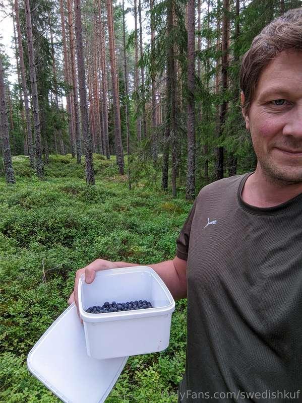 Today i was picking blueberrys. It is well known that bluebe..