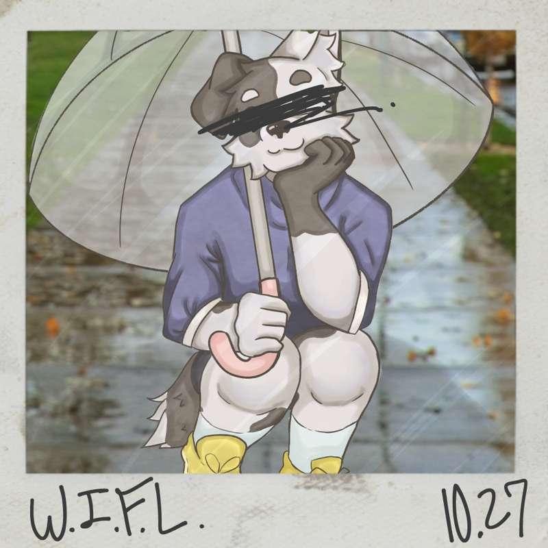 W.I.F.L. Polaroid Collection