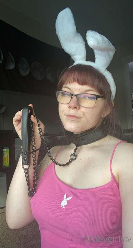 I want my leash to be used