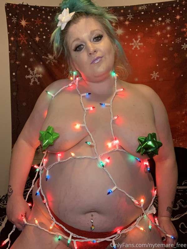 🎄🎄🎄🎄🎄🎄🎄