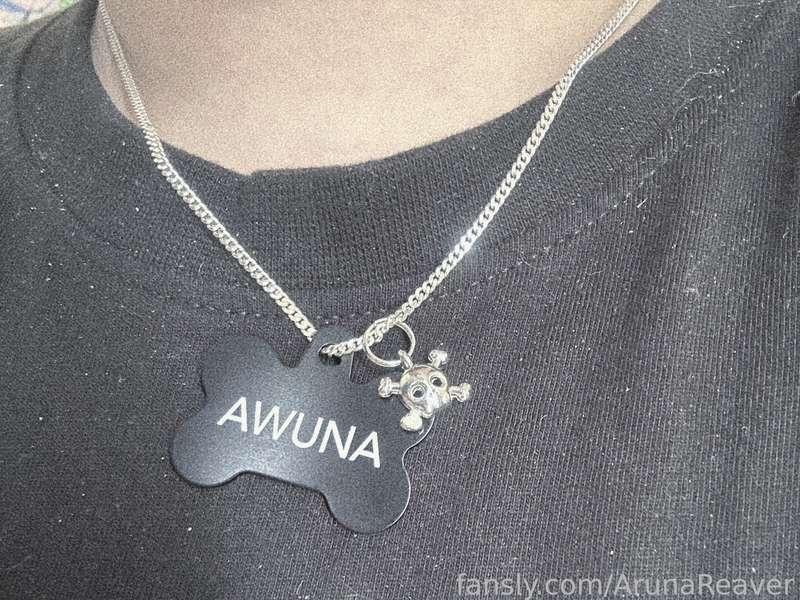 arunareaver image #0