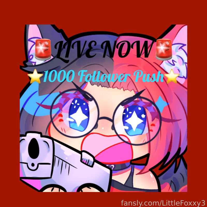 Im doing a 1000 follower push on my twitch so if you haven’t yet go follow there! Much appreciated 

https://twitch.tv/littlefoxxy3