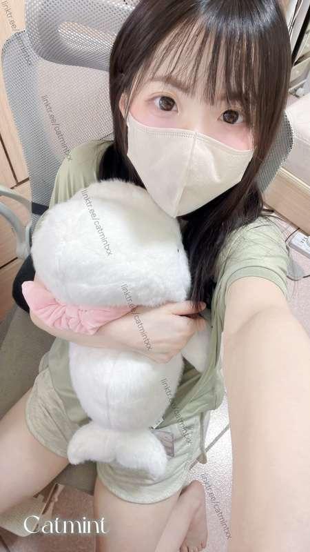 買了小白鯨玩偶🐳 I bought a little white whale plushie.