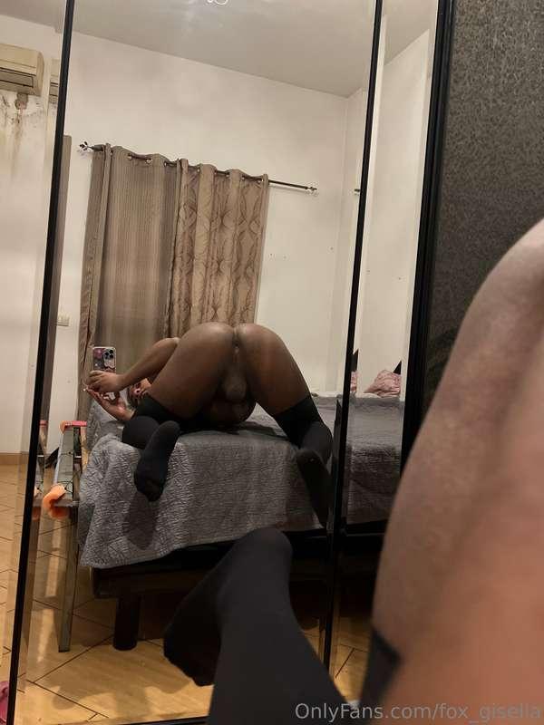 fox_gisella image #2