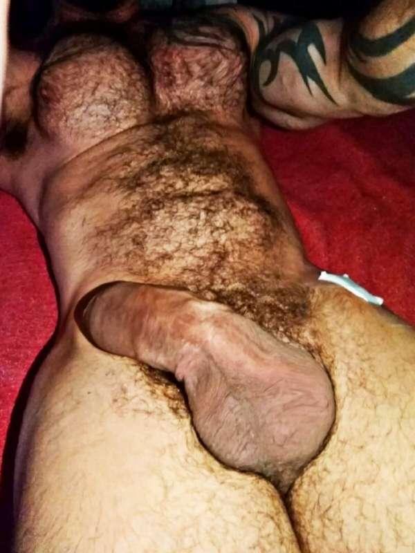 freeboygym image #5