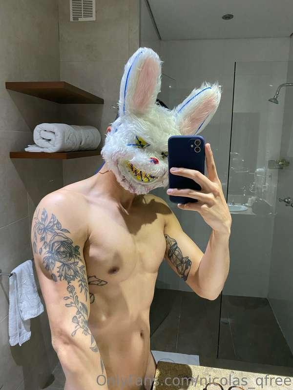 🐰🐰