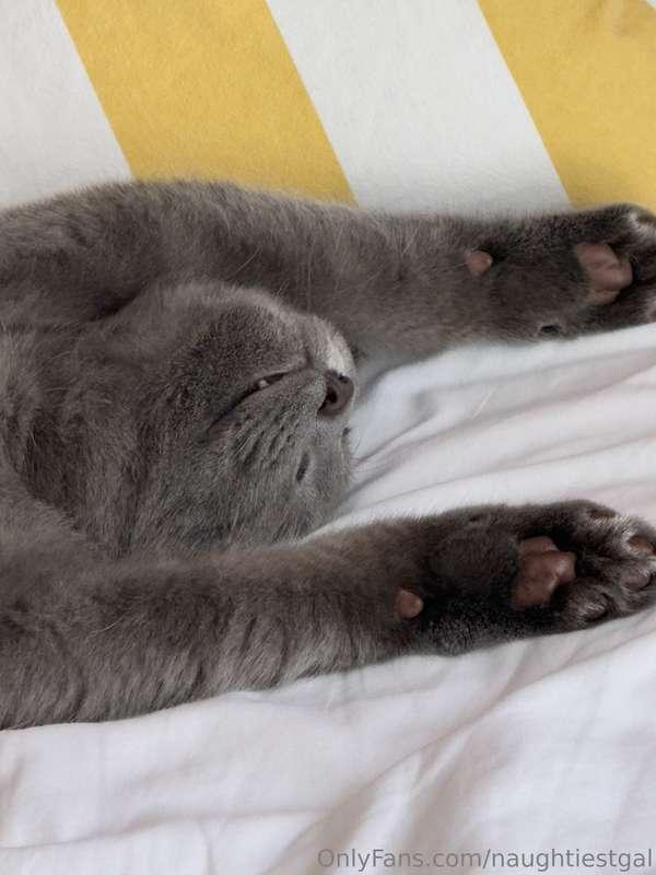 naughtiestgal image #2